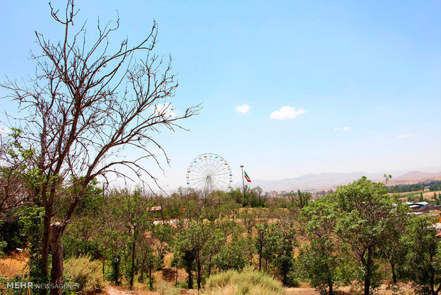 تغÛÛØ± Ú©Ø§Ø±Ø¨Ø±Û ÙØ¶Ø§ÙØ§Û Ø³Ø¨Ø² ٠ساخت Ù
راکز ØªØ¬Ø§Ø±Û Ø¯Ø± ØªØ¨Ø±ÛØ²