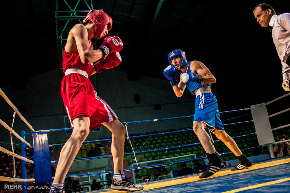 Iran Boxer Iranian boxers to participate at AOB World Olympic Qualification Event ...