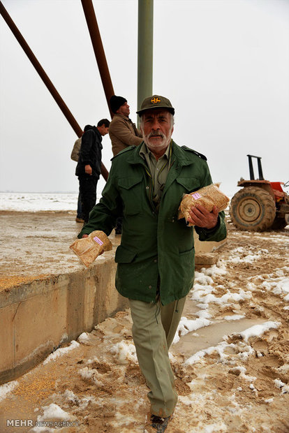 Feeding cranes in Meyghan