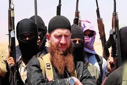 وزیر جنگ گروه تروریستی داعش زنده است