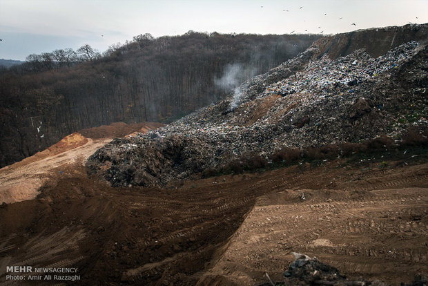 ورود فناوران به مشکلات/ زباله طلا وسرطان درمان می شود