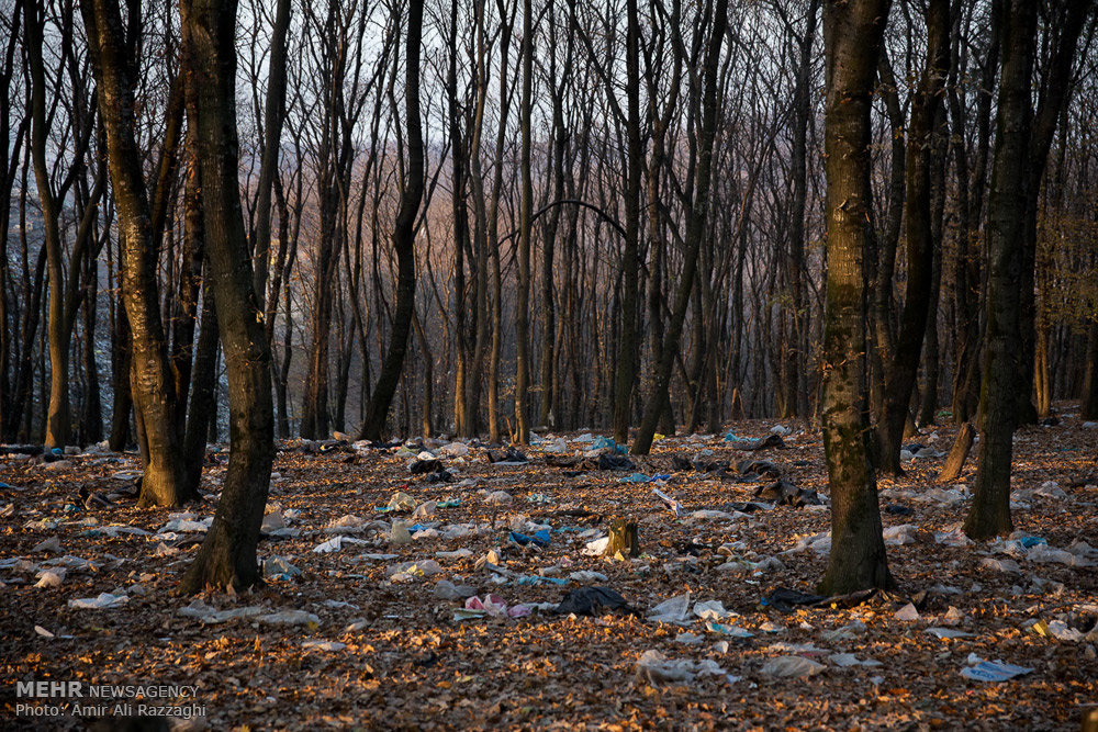 سلفی با زباله های جنگل هیرکانی/مدیریت اسفبار پسماند
