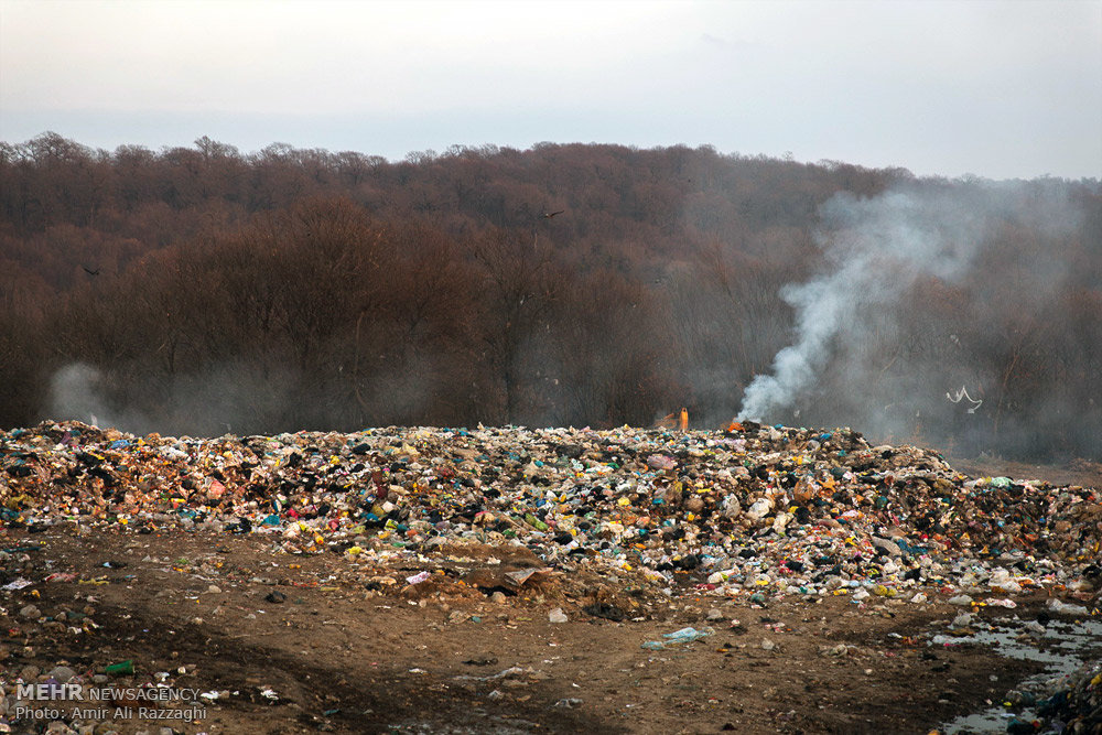 سلفی با زباله های جنگل هیرکانی/مدیریت اسفبار پسماند