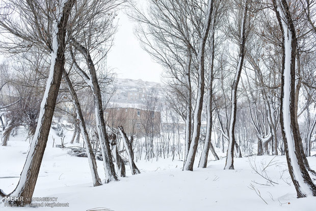 Snowy villages of Sahand