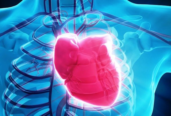امید تازه به درمان بیماران قلبی با تحریک الکتریکی سلولهای بنیادین