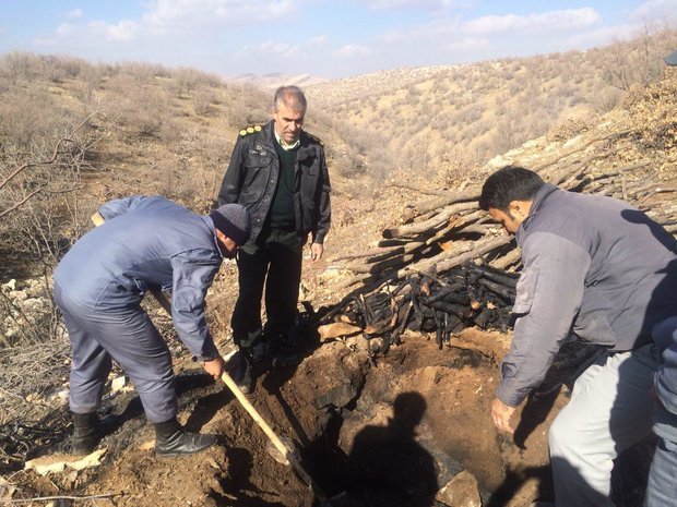 ۳۰ کوره ذغال در روستای «بوژان» شهرستان کرمانشاه نابود شد