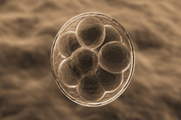 Nano-scaffolds made for converting stem cells into cells 
