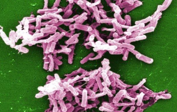 مردانی: فروش بدون نسخه آنتیبیوتیک میتواند فاجعهساز شود