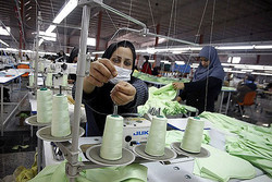 بیش از ۱۴۶ هزار فعال اقتصادی زن در فارس حضور دارند