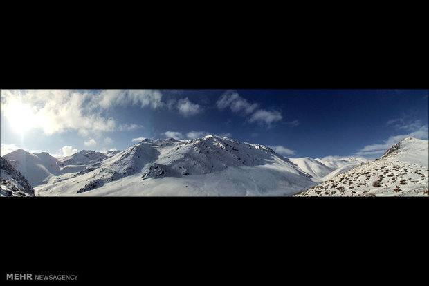 قله شیر برفی‎