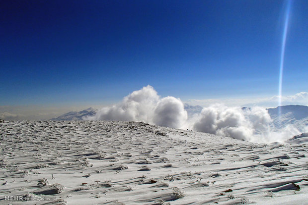 قله شیر برفی‎