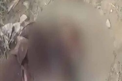 فیلم/کشته شدن شماری از نظامیان سعودی در عملیات یمنی ها در عسیر