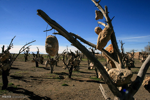 Rocky Garden