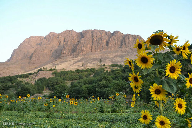 Vanai Cave in Lorestan