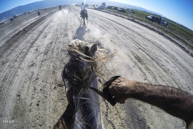 Local, indigenous horse racing