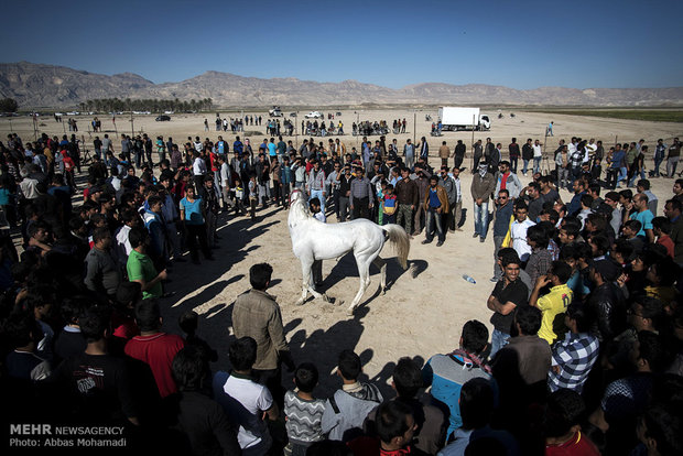 Local, indigenous horse racing