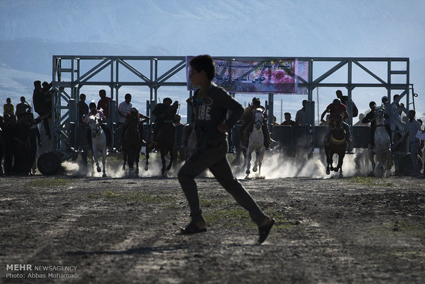 Local, indigenous horse racing