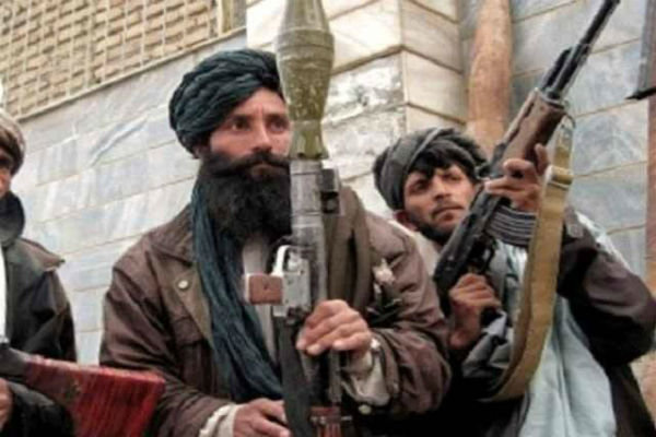 کشته شدن بیش از ۳۰۰ عضو طالبان در تحولات ۲۴ ساعت اخیر