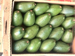 کشف ۷۵ تن میوه قاچاق از سطح میدان میوه و تره بار شهرستان اصفهان
