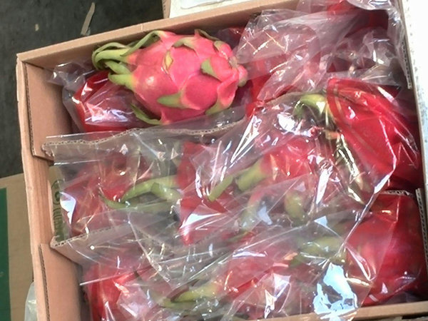 ۳ میلیارد ریال میوه قاچاق در یزد کشف شد