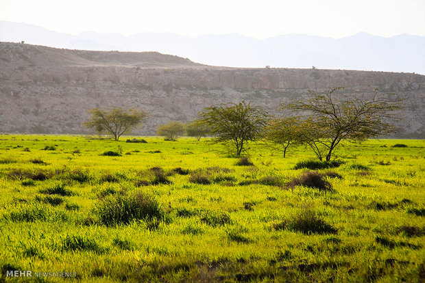 طبیعت روستای خالده