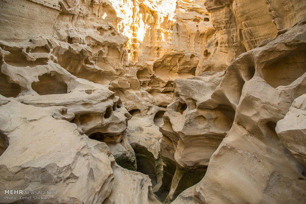 جزیره قشم