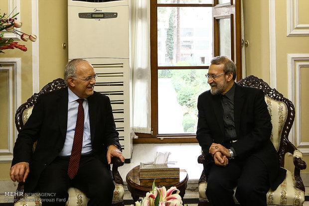 Larijani, Schneider-Amman meet in Tehran