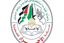 حمایت از مقاومت، دخالت در امور فلسطین نیست
