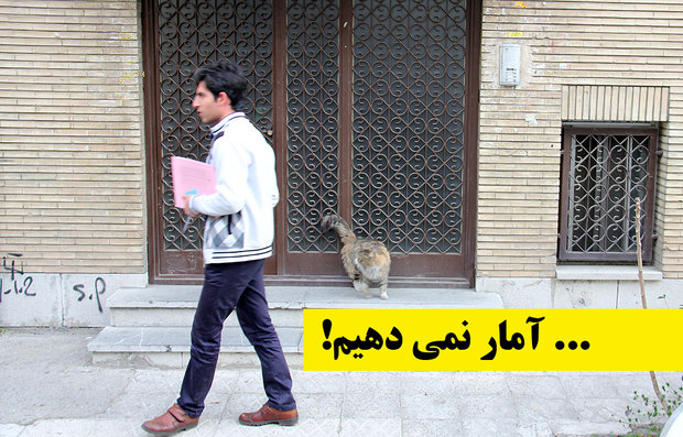 تهرانی ها آمار نمی دهند/ لطفا در را باز کنید!