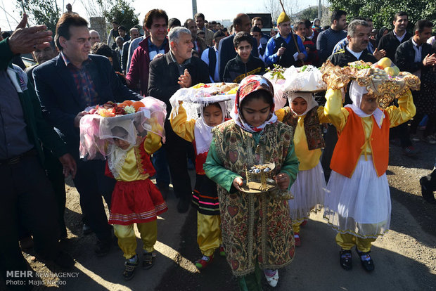 جشنواره شالیزار مازندران