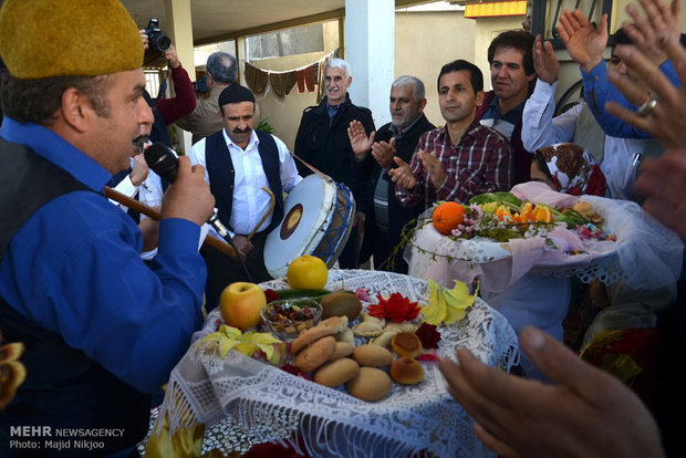 جشنواره شالیزار مازندران