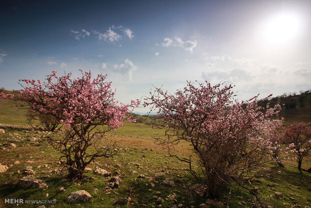 طبیعت رومشگان