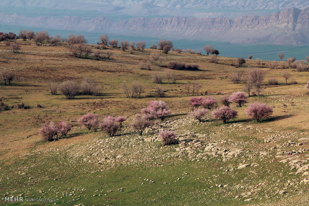 طبیعت رومشگان