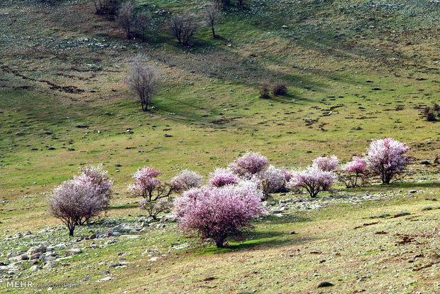 طبیعت رومشگان