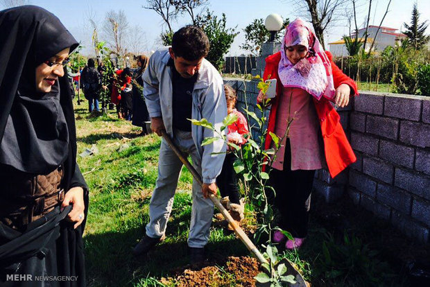 همایش روز درختکاری در روستای توسکا محله چابکسر