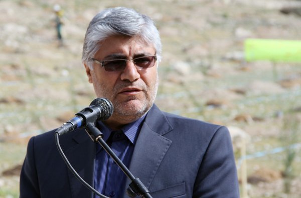 کاشت درخت در ۶۰۰ هکتار از ارتفاعات شیراز/ تشكيل يگان حفاظت 