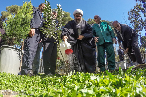 Judiciary head participates in Natl. Arbor Day   