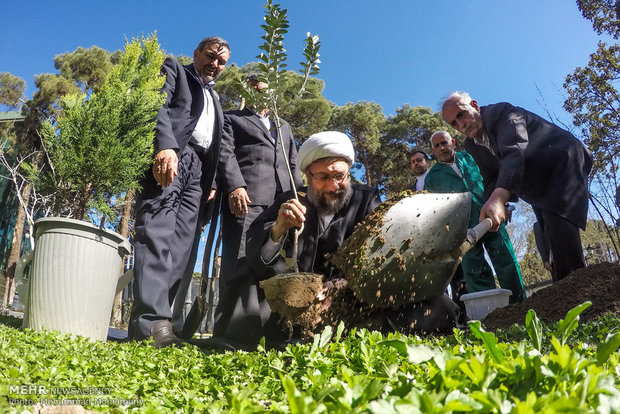 Judiciary head participates in Natl. Arbor Day   