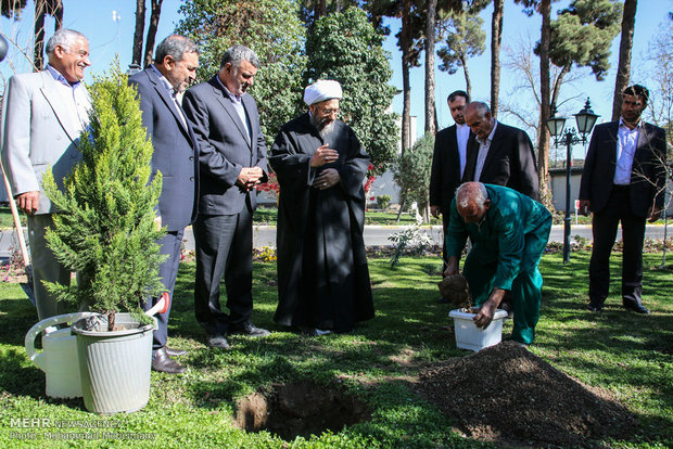 Judiciary head participates in Natl. Arbor Day   