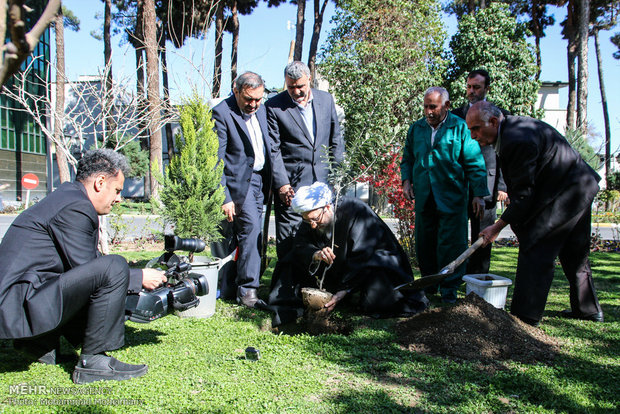 Judiciary head participates in Natl. Arbor Day   