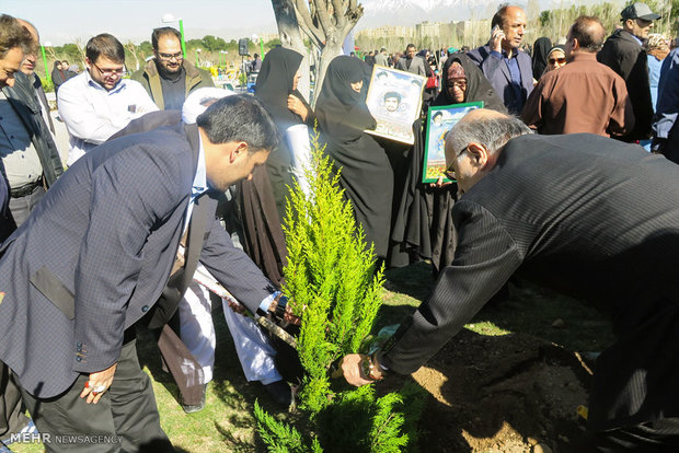 کاشت نهال به یاد ۲۳۰۰۰ شهید تهرانی 