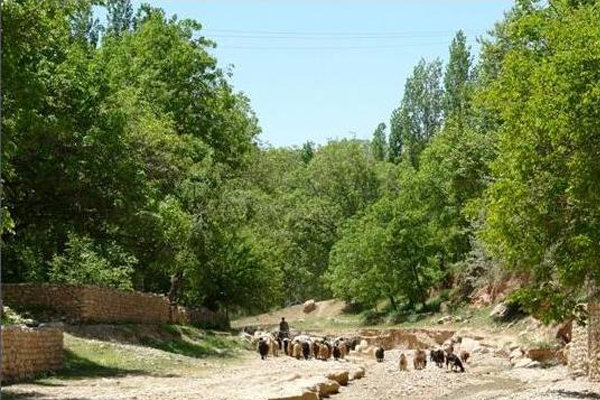 استاد؛ روستایی تاریخی درفاروج/ سمفونی زیبا از نواها ونماهای طبیعی