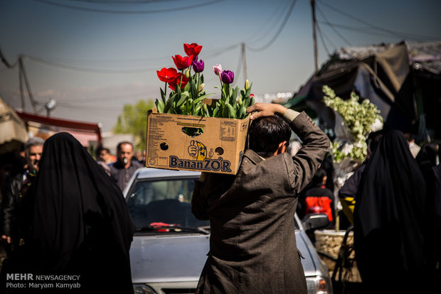 بازار گل تهران در آستانه عید نوروز