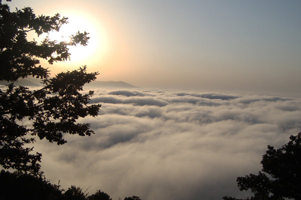 نگرانی از تخریب جنگل هیرکانی / گردشگری بدون زیرساخت بلای جان ابر شد 4