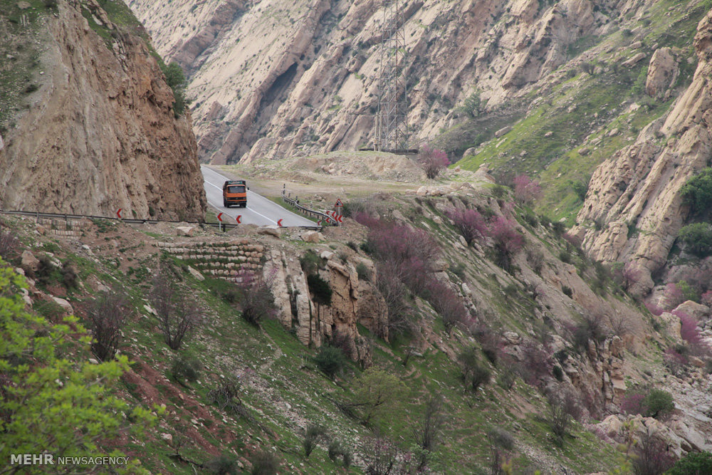 Mehr News Agency - First signs of Spring on Pol-e Dokhtar Road in ...