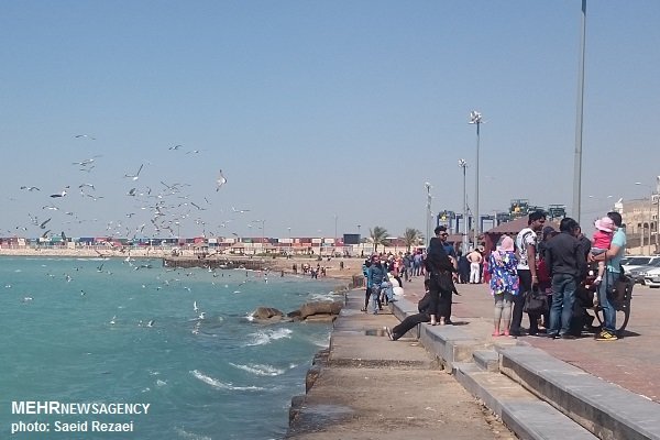 امکانات تفریحی و ورزشی در سواحل استان بوشهر گسترش یابد