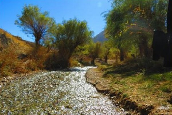 دلربایی پاییز خراسان جنوبی برای گردشگران/رویش مسافر در فصل خزان