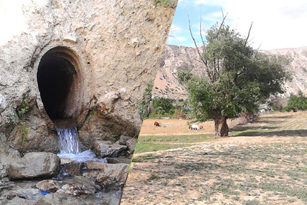 گدوگانلو؛ جاذبه‌ای بکر درشیروان که گردشگران رافرا می‌خواند