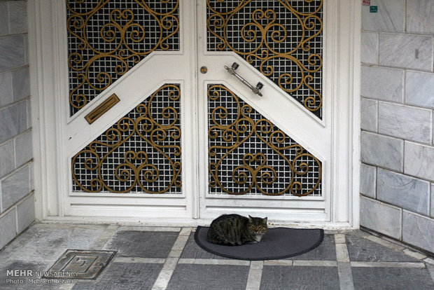 A view of daily life in Iran 