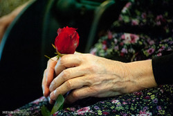 توجه به آموزش طب سالمندی در راستای روند رو به پیری جمعیت